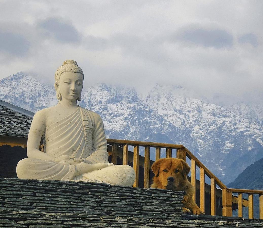OSHO HIMALAYAs Kangra Exterior foto